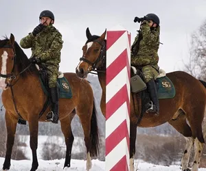 Straż Graniczna z nowymi funkcjonariuszami. Konie dzielnie bronią polskiej granicy. Widzą to, czego człowiek nie widzi