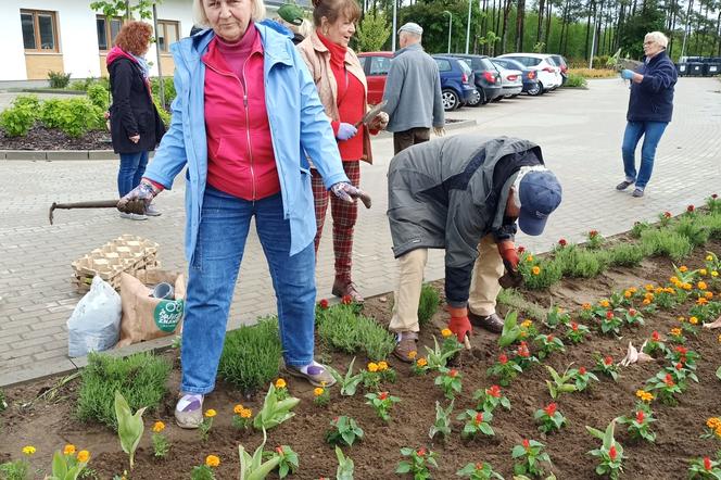 Trwa zbiórka kwiatów dla pilskiego hospicjum