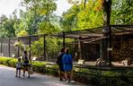 Miejski Ogród Zoologiczny w Warszawie