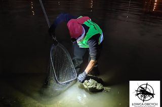 Raki marmurkowe w akwenach na Mokotowie