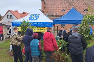  Akcji Sadzenia Drzew Miododajnych w powiecie iławskim zakończona sukcesem