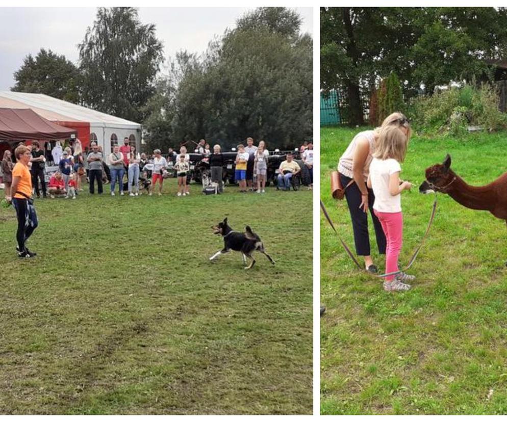 Stowarzyszenie Zwierzoluby z Siedlec zaprasza na Piknik Charytatywny na rzecz zwierząt 25 sierpnia