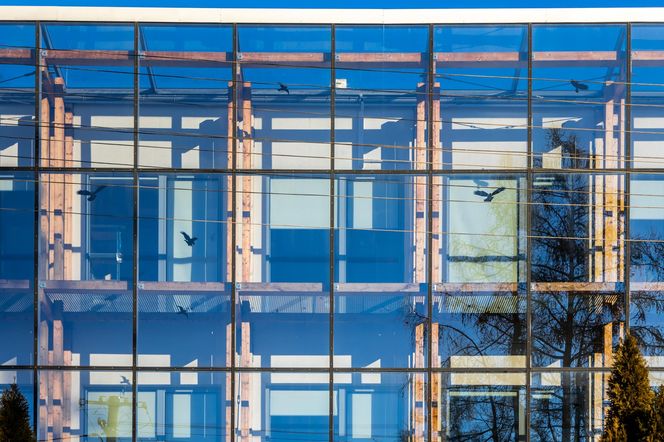 Biobank w Chęcinach