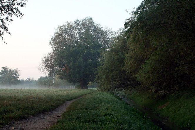 Świerczewo