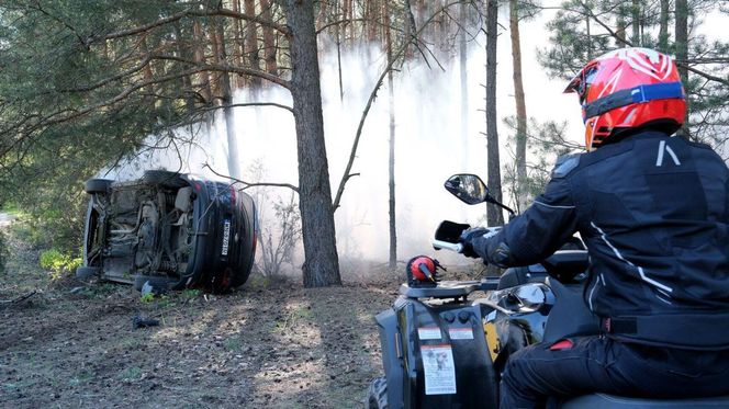 M jak miłość odc. 1875. Dominik Walat (Bartosz Surówka)