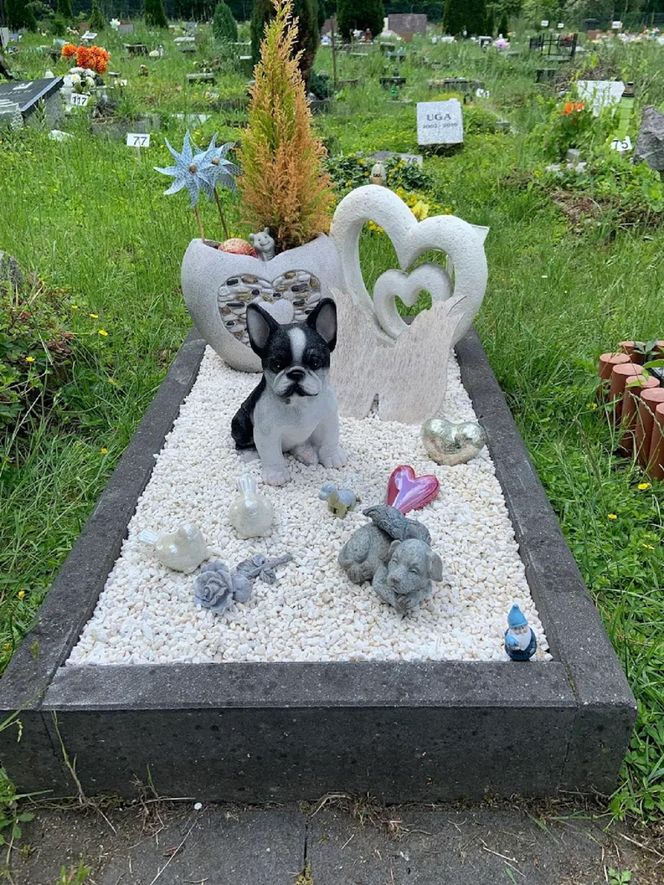 W całym woj. śląskim jest tylko jeden taki cmentarz. Miejsce, gdzie pamięć o pupilu nie umiera