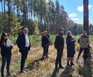 Powstaje miejsce pamięci na Mazurach. To tam odkryto prochy więźniów obozu koncentracyjnego Soldau