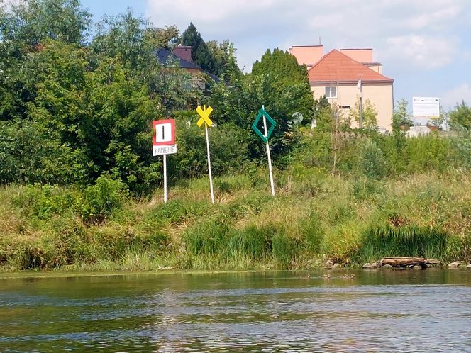 Wisła w Fordonie zaprasza turystów. Można popływać drewnianą łodzią i poczuć tę samą bryzę, co kiedyś flisacy