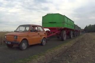 Maluch mocarz! Fiat 126p ciągnie trzy rolnicze przyczepy - WIDEO