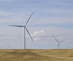 Oto największe i najmniejsze farmy wiatrowe w Łódzkim. W planach są nowe instalacje