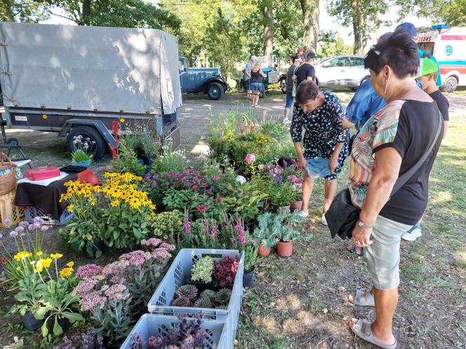 Tłumy na Święcie chleba, miodu i sera w Gądeczu. Sprawdźcie ceny lookalnych produktów 