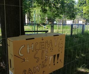 Plac zabaw na Winogradach