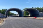 Budowa odcinka S19 Haćki-Bielsk Podlaski