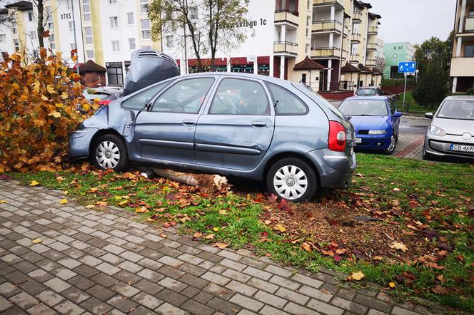 O krok od tragedii w Bydgoszczy! Kierowca zasłabł i uderzył w drzewo! [ZDJĘCIA] 