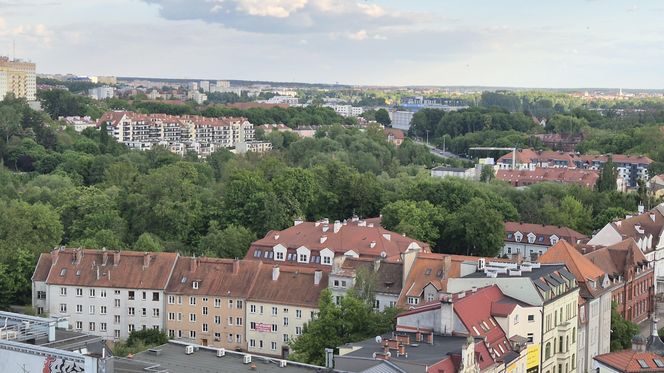 Olsztyn z lotu ptaka. Tak wygląda miasto z wieży ratuszowej