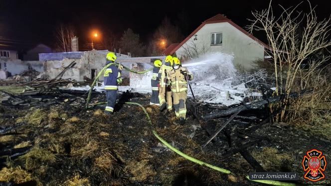  Pożar pustostanu. Łomianki, ul. Rolnicza