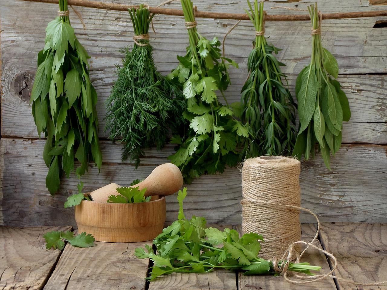 Kostka ziołowa: mrożona mieszanka ziół na zimę