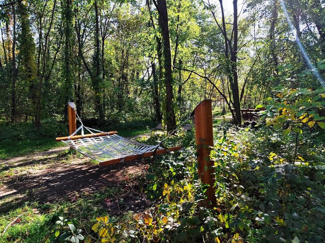 Kraków ma nowy park za ponad 2 miliony zł