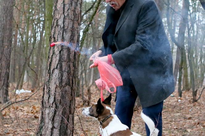 Korwin Mikke z psem co lubi fajerwerki