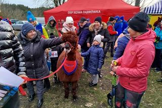 W Siedlcach podczas 33. Finału WOŚP atrakcji nie brakowało!