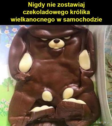 Memy Wielkanoc 2023. Króliczek wielkanocny w niecodziennym wydaniu