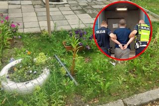 Od rabatki do celi. Pijany kierowca z Mysłowic odpowie przed sądem