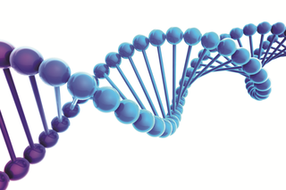 Genetyk - czym się zajmuje i jak wygląda wizyta u genetyka?