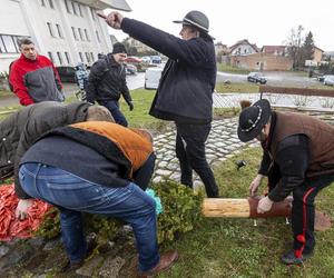 W Gdańsku stanęła 20-metrowa palma wielkanocna