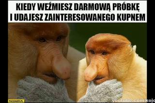 memy z nosaczem