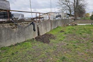 Pomóżcie nam zrobić plac zabaw w Domu Dziecka