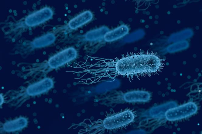 Trzy przypadki groźnej bakterii New Dehli w rzeszowskim szpitalu!
