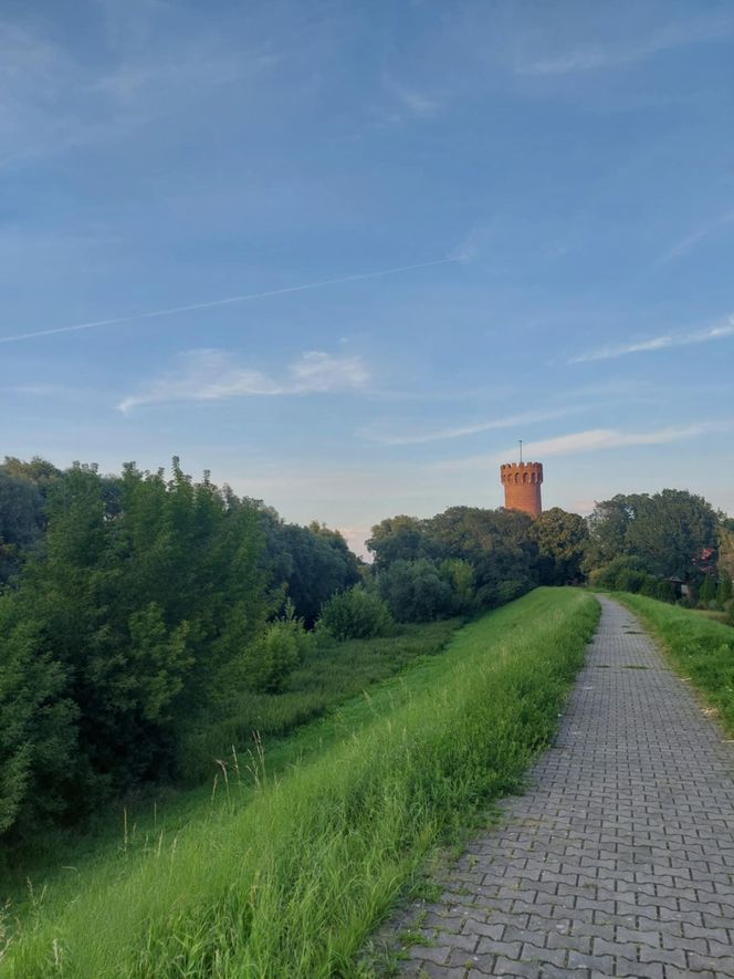 Przez to miasto Kujawsko-Pomorskiem nie da się przejść niezauważonym. Na turystów patrzy ponad 200 par kamiennych oczu. Wszędzie są twarze!