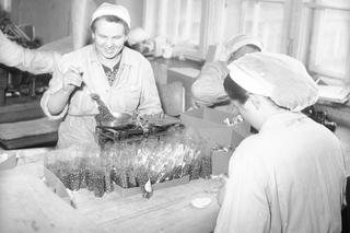 Quiz. Słodycze w PRL-u