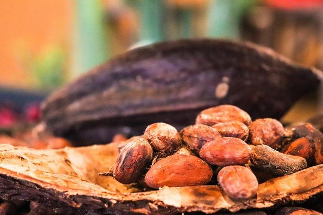 Szybujące ceny kakao dotkną wielu branż.
