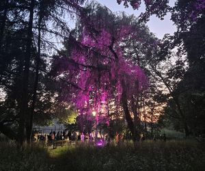Olsztyn zamienił się w magiczną krainę. Park Świateł przyciągnął tłumy!