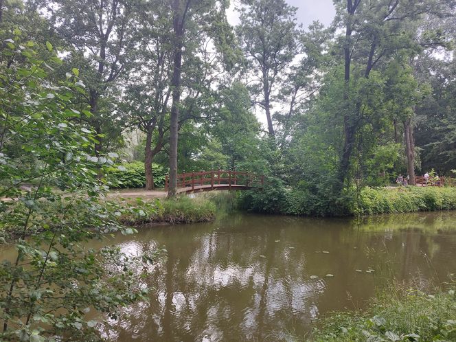 Park im. Szafera w Rzeszowie 