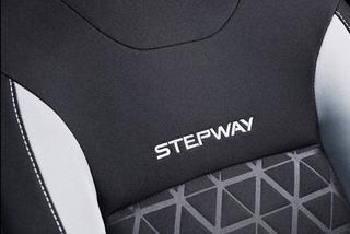 NOWA Dacia Sandero Stepway 2013