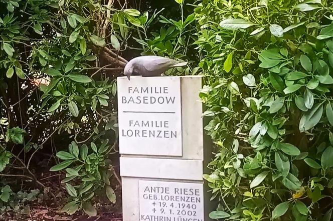 Ohlsdorfer Friedhof w Hamburgu
