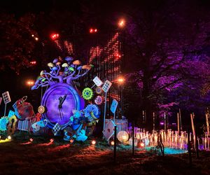 Odwiedziłam Lumina Park. Poznań zmienił się w magiczną scenerię „Alicji w Ogrodzie Czarów”. Czegoś takiego jeszcze nie widzieliście! [GALERIA]