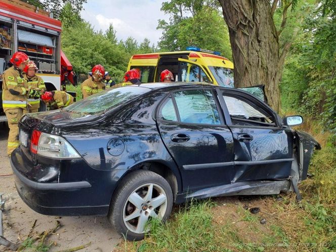 Śmiertelny wypadek pod Skierniewicami. 68-latek uderzył w drzewo [ZDJĘCIA].