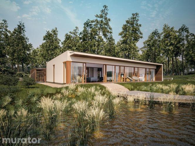 Projekt Dom oszczędny od Muratora - wizualizacja domu z płaskim dachem - elewacja ogrodowa