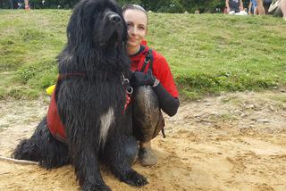 I Festiwal Psów Ratowniczych na plaży miejskiej w Żywcu