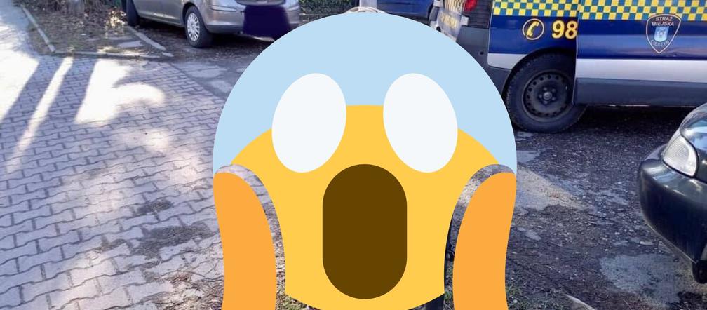 Gigantyczny wąż w centrum Cieszyna?! Internauci: Każde miasto ma swojego laguna [ZDJĘCIA]