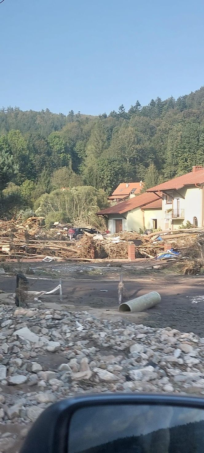 Schronisko w Henrykowie koło Leszna przygarnęło psy z powodzi