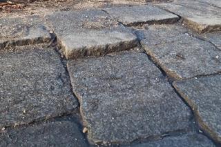 Dziury i zapadająca się kostka na ul. Gajowickiej we Wrocławiu. 5 lat temu Jacek Sutryk obiecywał remont