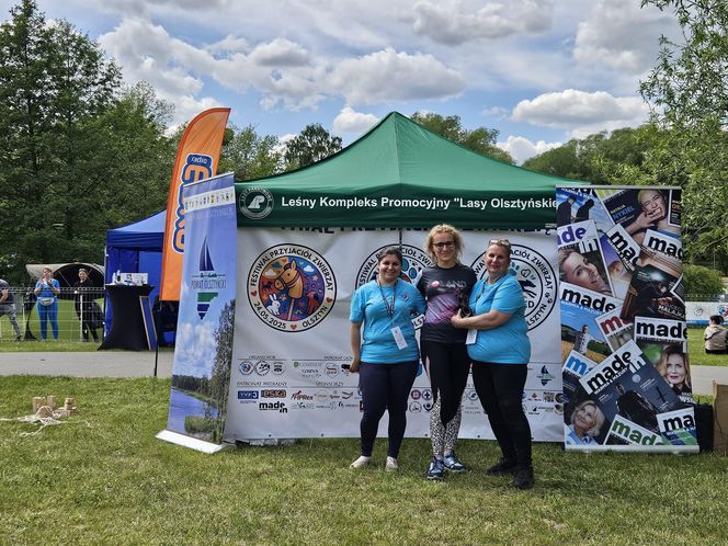 Festiwal Przyjaciół Zwierząt w Olsztynie. Park Centralny opanowały radosne pieski
