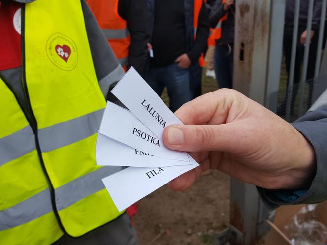 ​Szczeniak i kot znalazły nowy dom. To pierwsze efekty sobotniej akcji "Bieg + 4 Łapy" koło Leszna