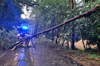 Tragiczne skutki nawałnicy na Kujawach i Pomorzu! Jednej osoba wciąż nie odnaleziono