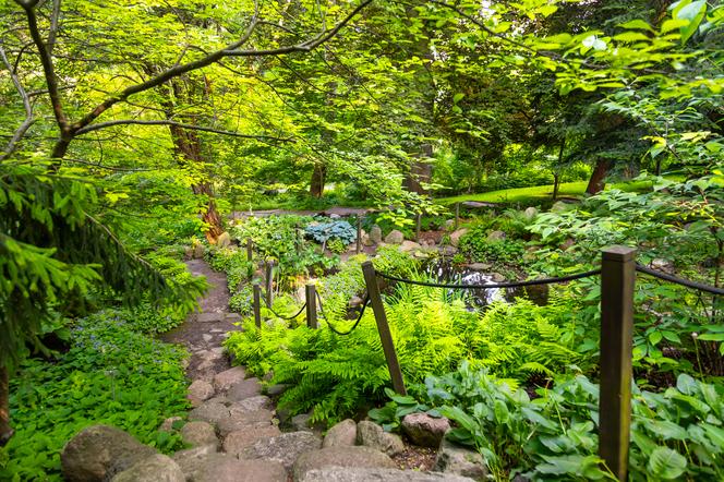 7 najładniejszych ogrodów botanicznych w Polsce. Kiedy je odwiedzić i gdzie są?