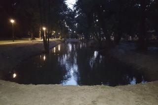Odmulono staw w parku na osiedlu Słocina
